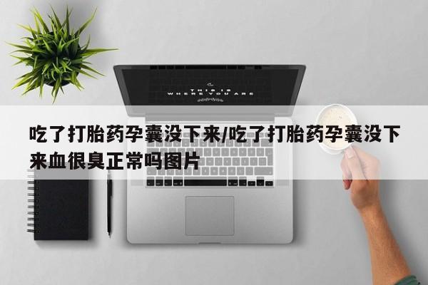 米非司酮片米索前列醇在线下单购买吃了打胎药孕囊没下来/吃了打胎药孕囊没下来血很臭正常吗图片